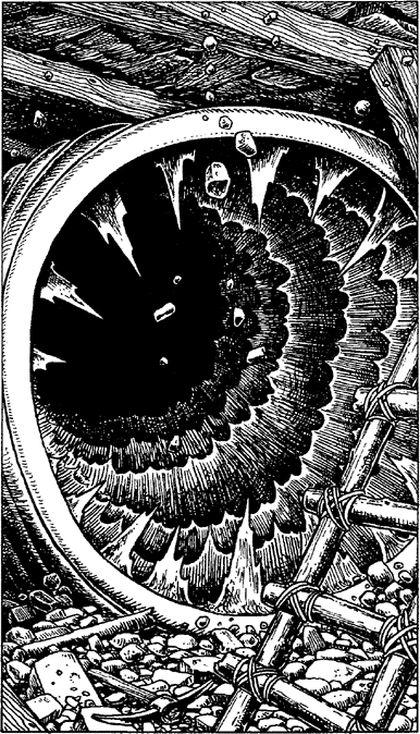 [illustration]