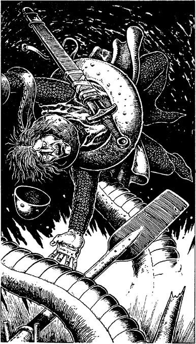 [illustration]