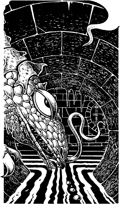 [illustration]