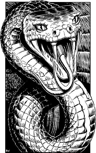 [illustration]