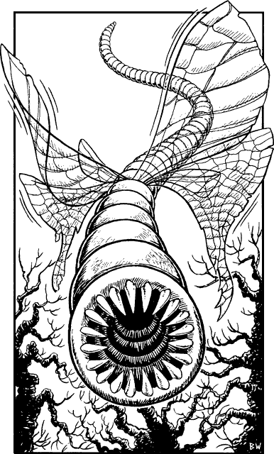 [illustration]