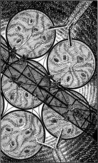 [illustration]
