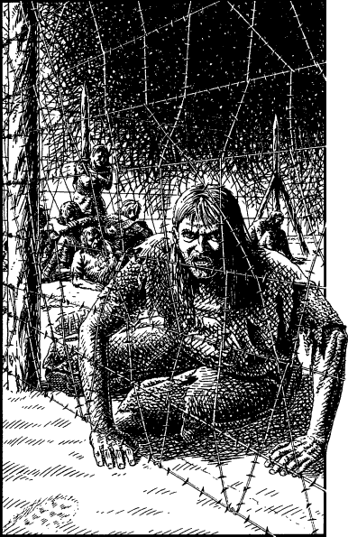 [illustration]