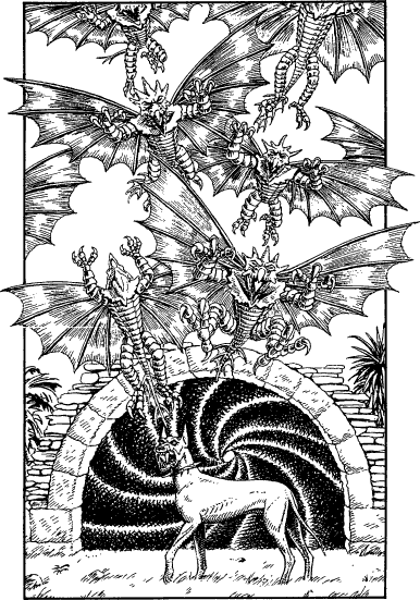 [illustration]