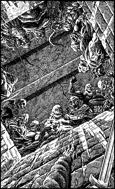 [illustration]