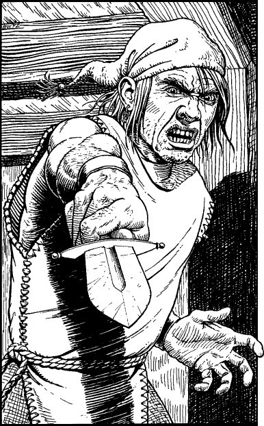 [illustration]