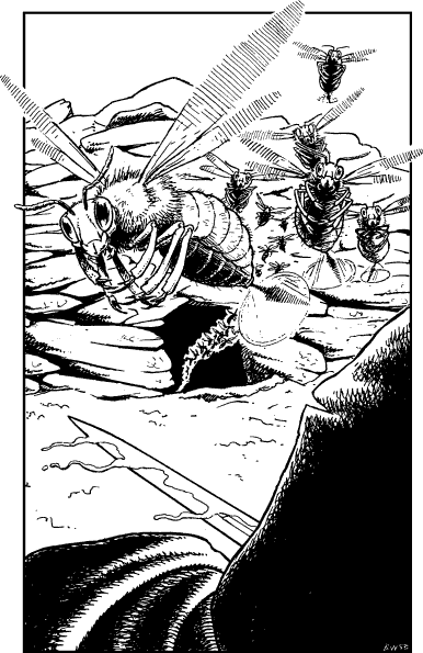 [illustration]