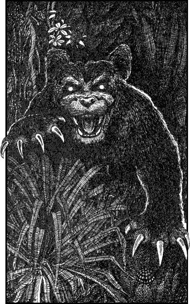 [illustration]