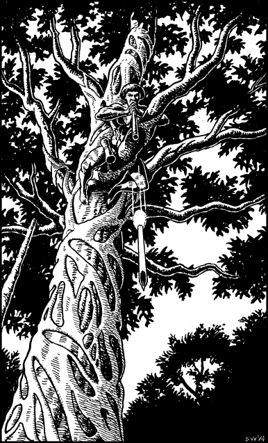 [illustration]