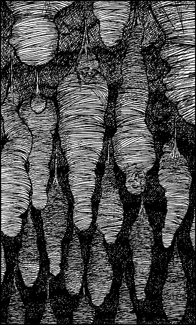 [illustration]
