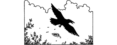 illustration
