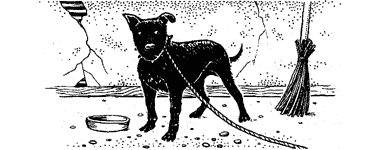 illustration