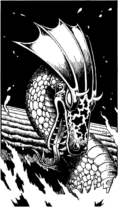 illustration