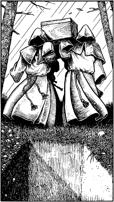 illustration