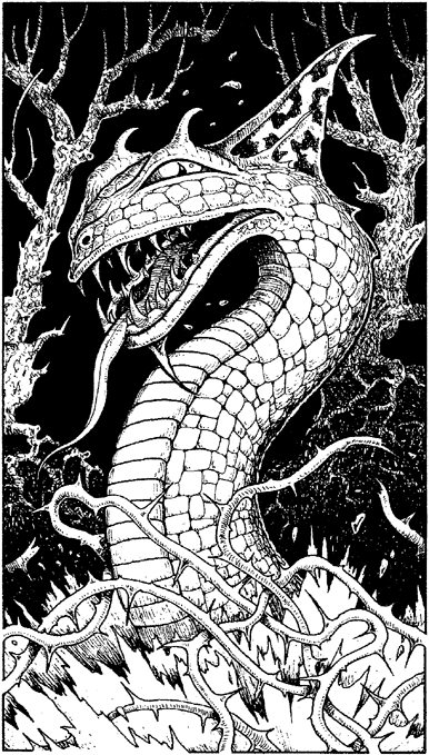 illustration
