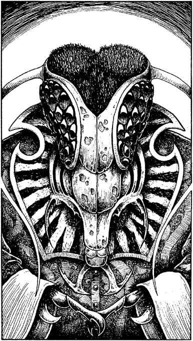 illustration