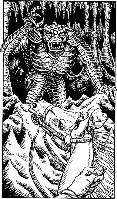 illustration