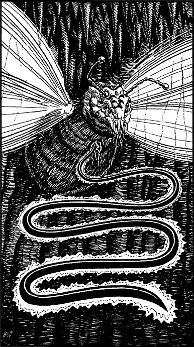 illustration