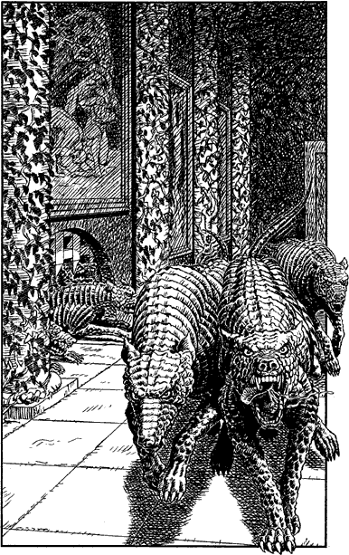 illustration