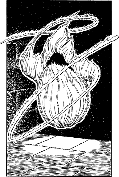 illustration