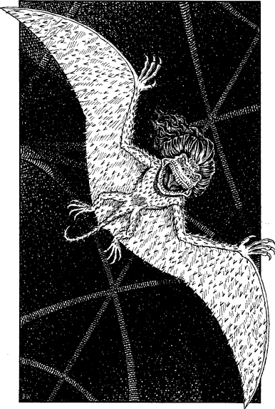 illustration