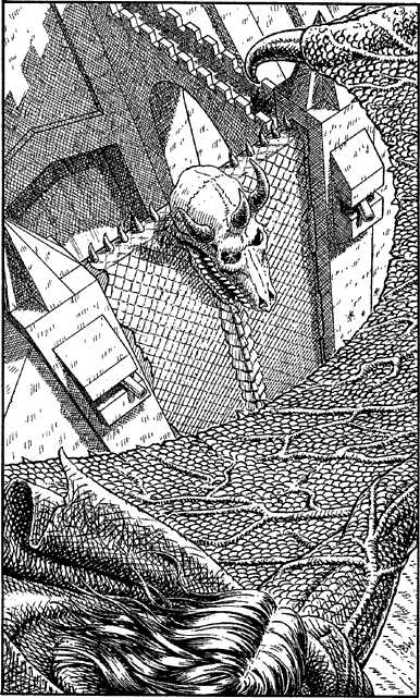 illustration