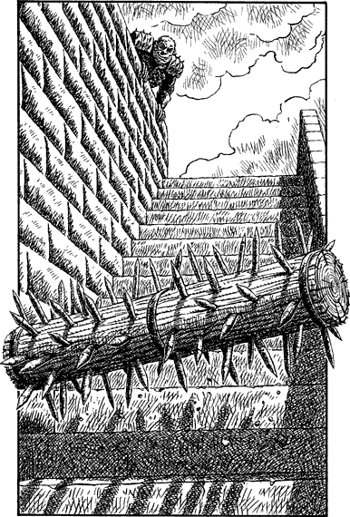 illustration