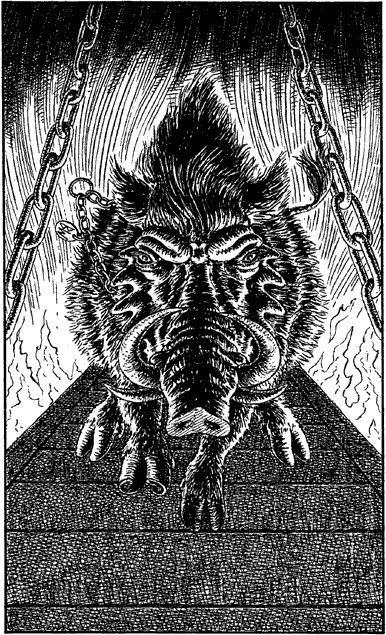 illustration