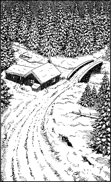 illustration