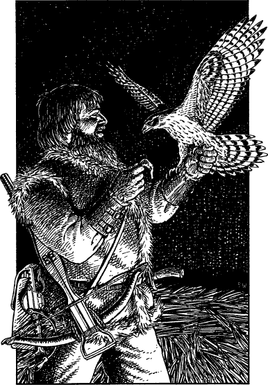 illustration