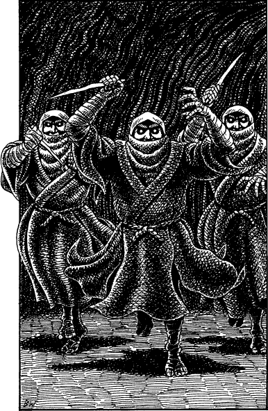 illustration