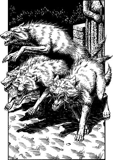 illustration
